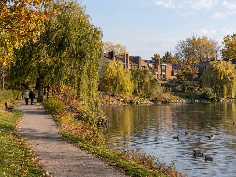 A path along a small lake in Meadowvale with 1970s townhouses behind willow trees